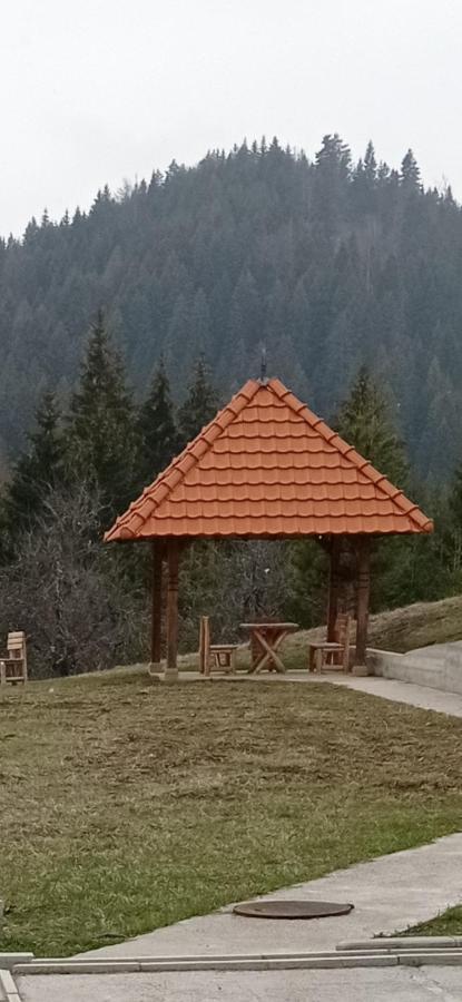 Laki Zaovine
